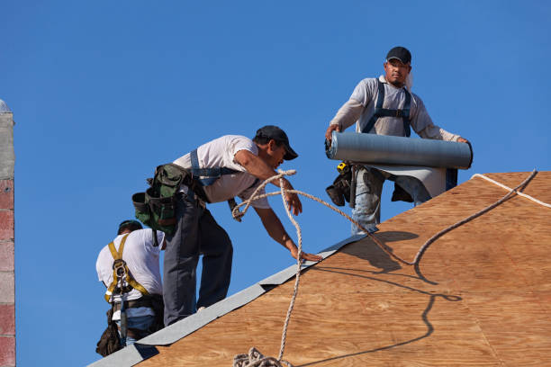 Best New Roof Installation  in Silver Lake, FL